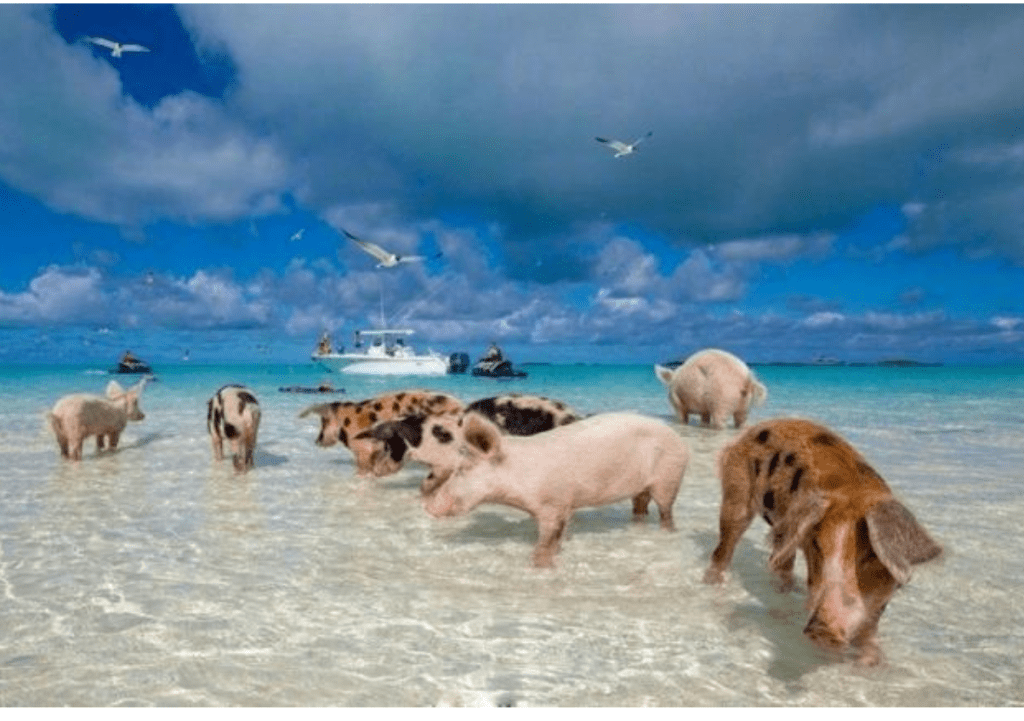 一張含有 天空, 水, 海灘, 室外 的圖片

自動產生的描述